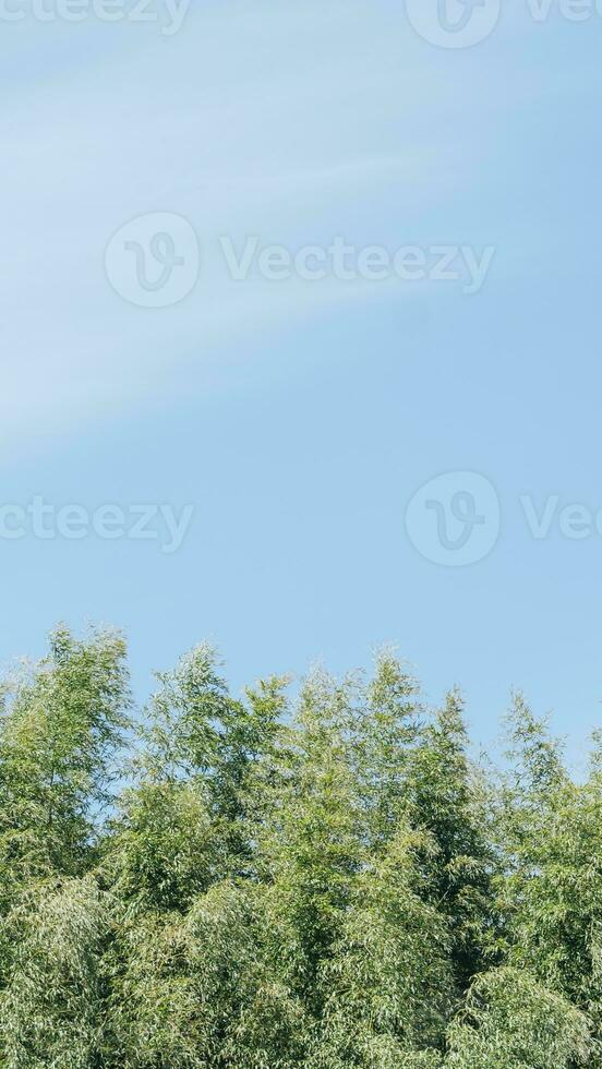 sky lanscape - 10 photo