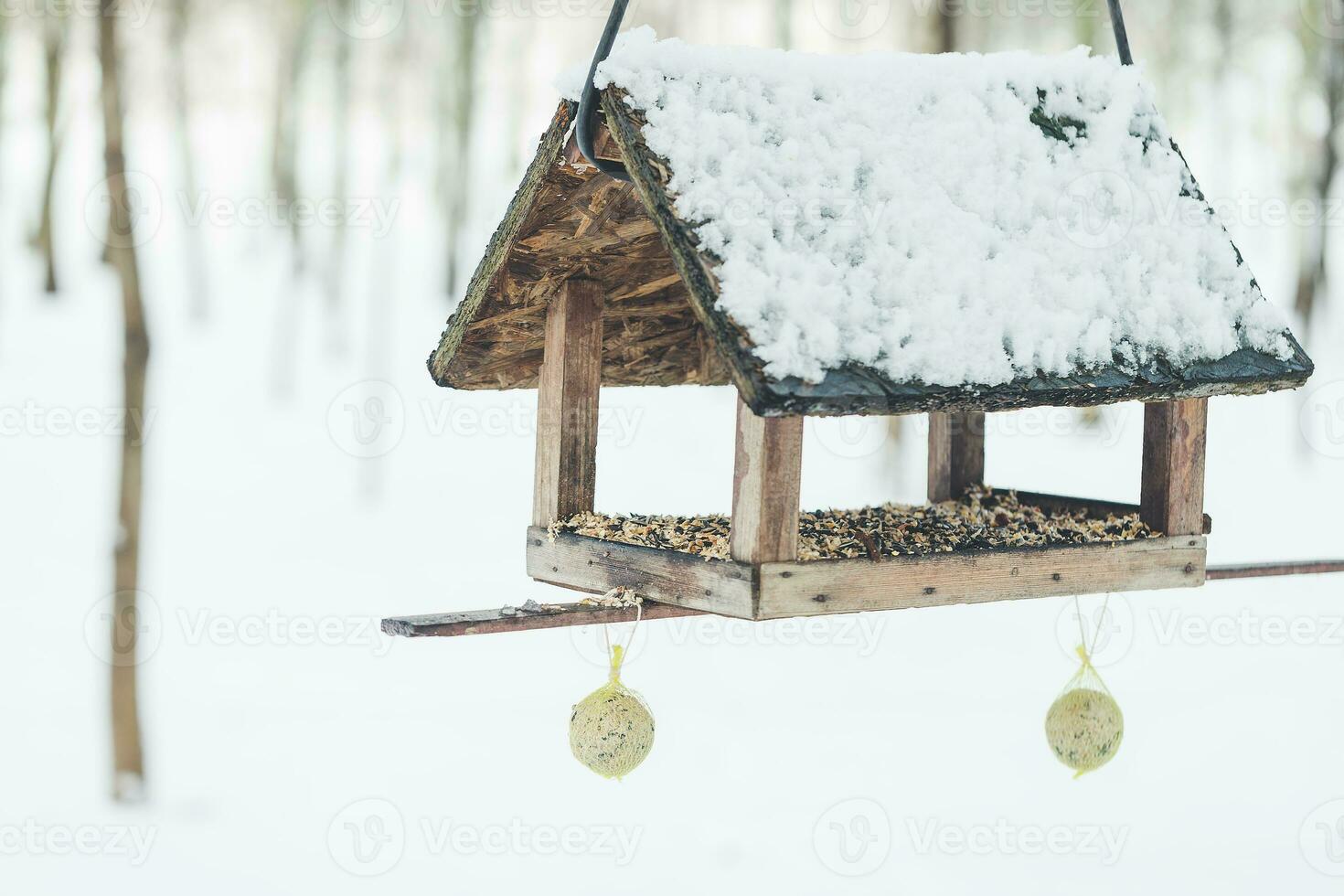 Birdhouse and a bird feeder in winter park. Copy space photo