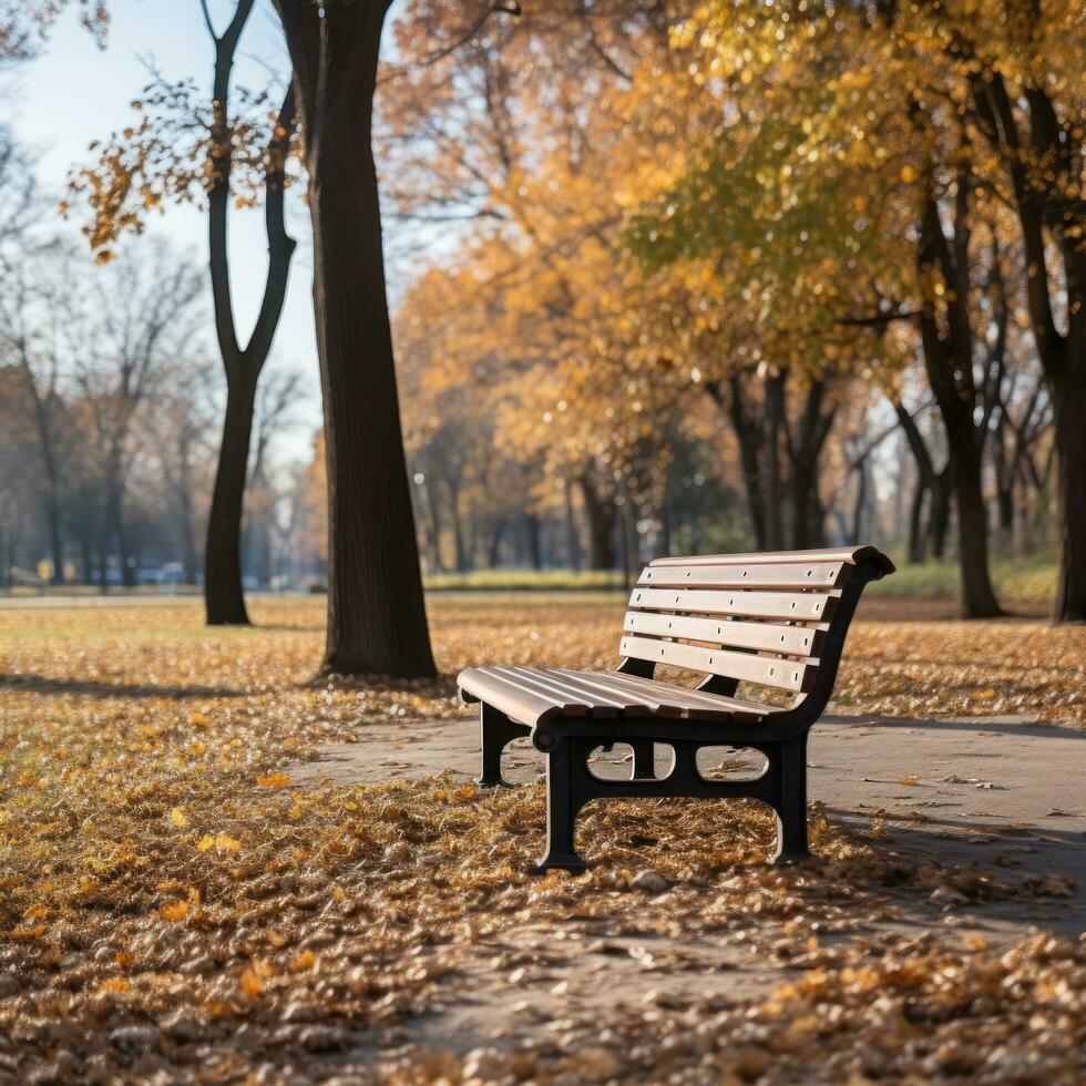 a wooden bench is sitting in the park in late autumn photo