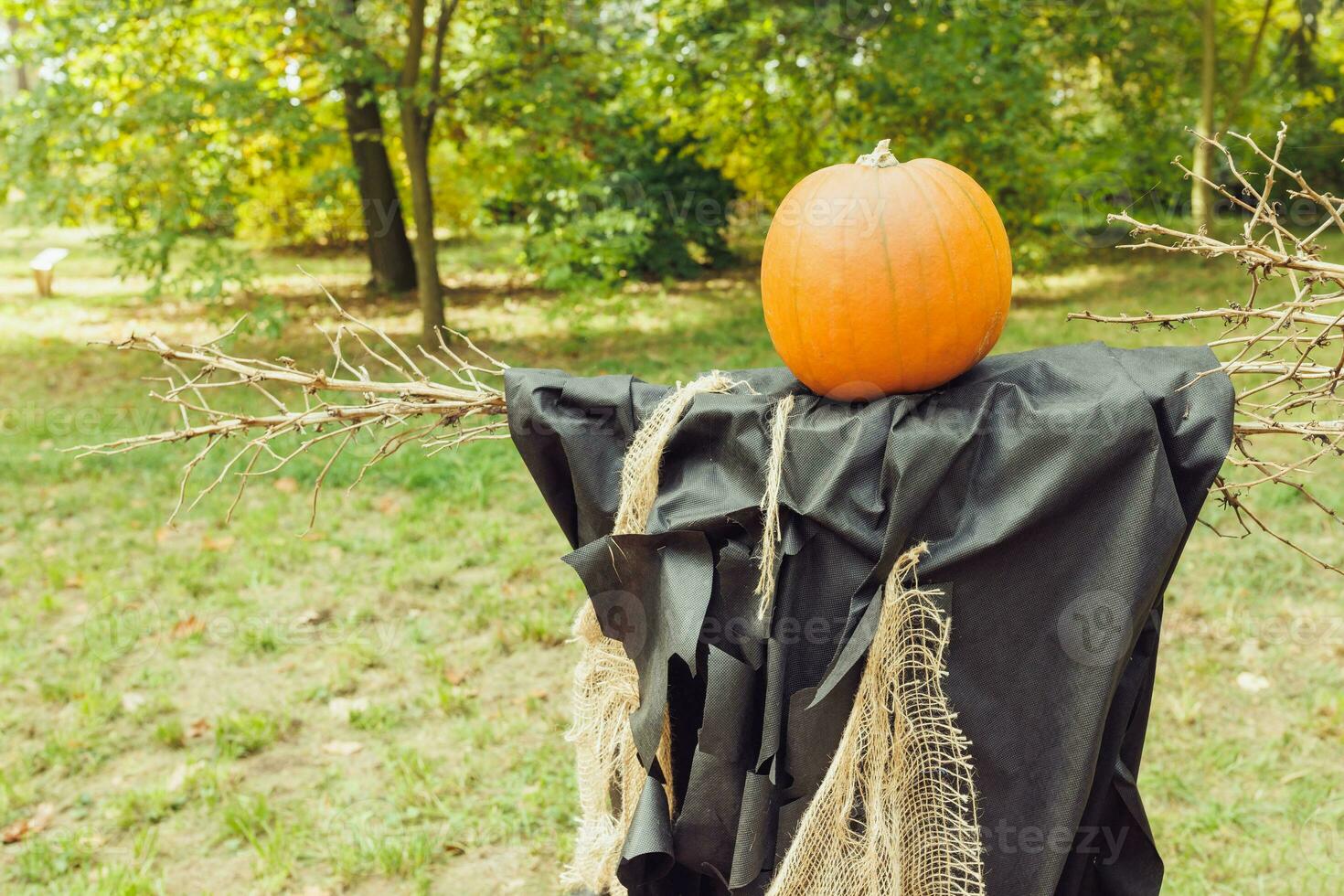 Halloween witch scarecrow with pumpkin head and autumn outdoor decoration. Yard decor and holiday decor ideas for party. Selective focus, copy space photo