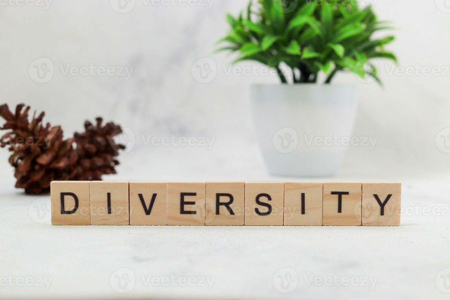 Top view of Diversity word on wooden cube letter block on white background. Business concept photo