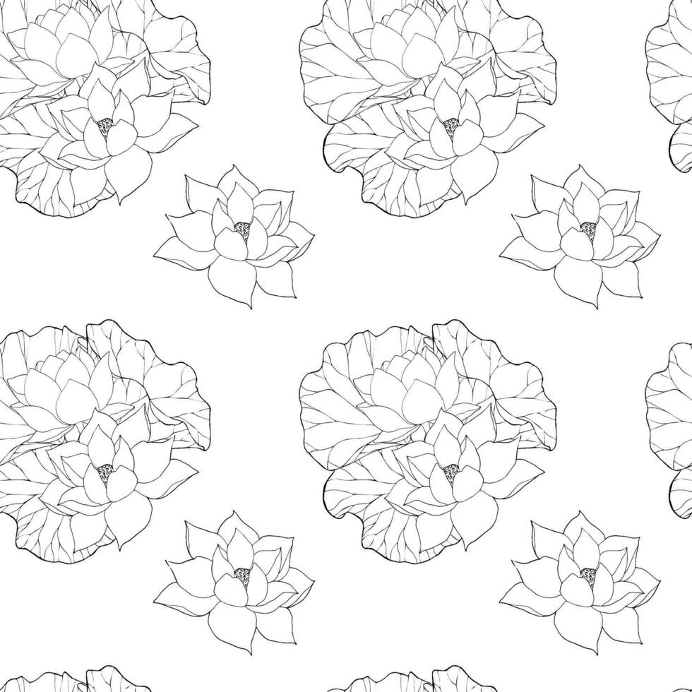 Seamless pattern with vector hand drawn lotus flowers and buds, huge leaves, black line art illustration. Outline floral drawing for packaging design, textiles, covers, scrapbooking, typography