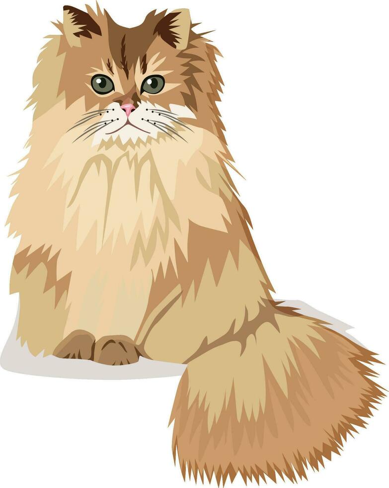 Cartoon cat, white background, vector