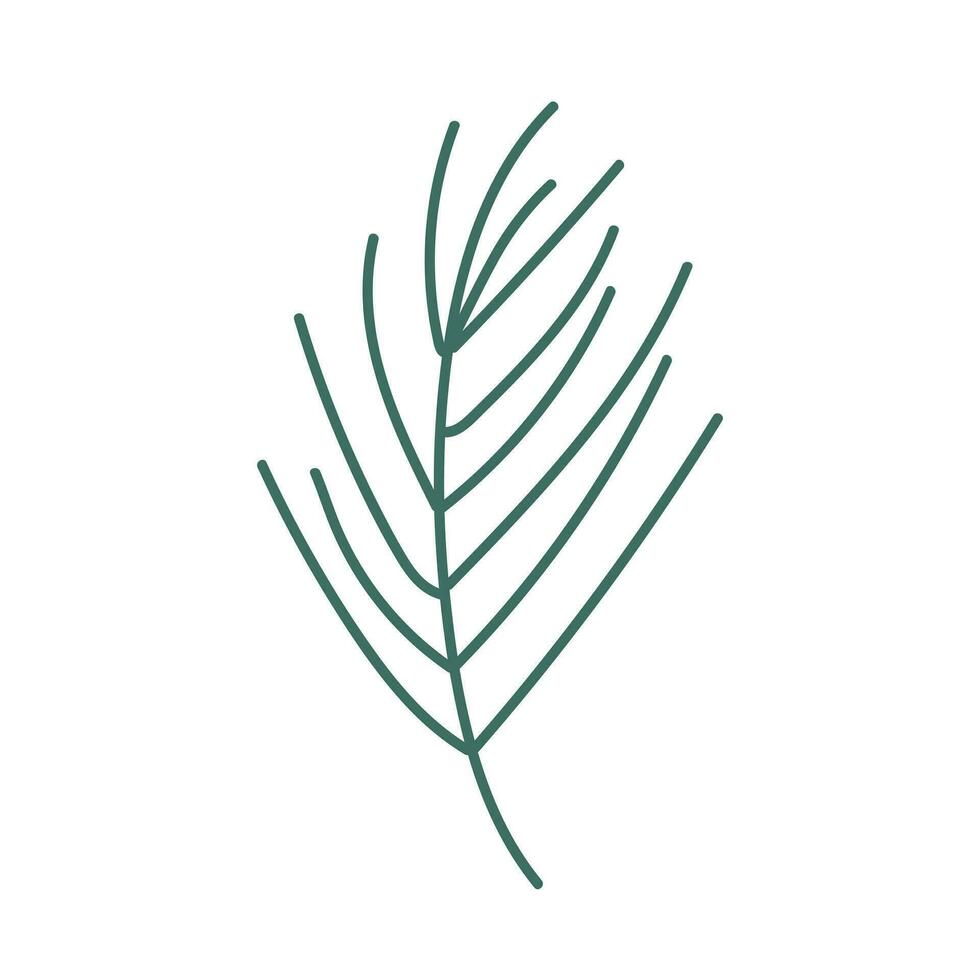 Hand drawn branch of pine vector illustration