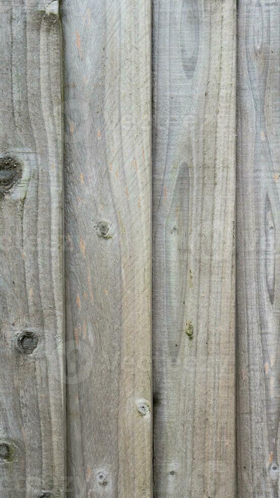 Natural Wood Grain Texture Background photo