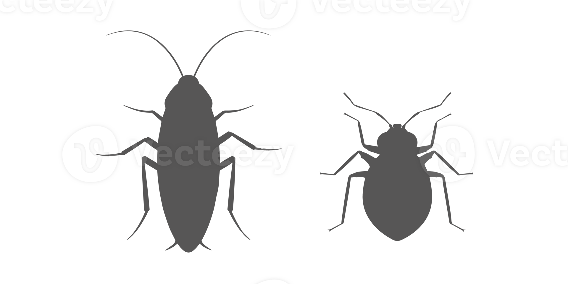 cockroach bug and bedbug png