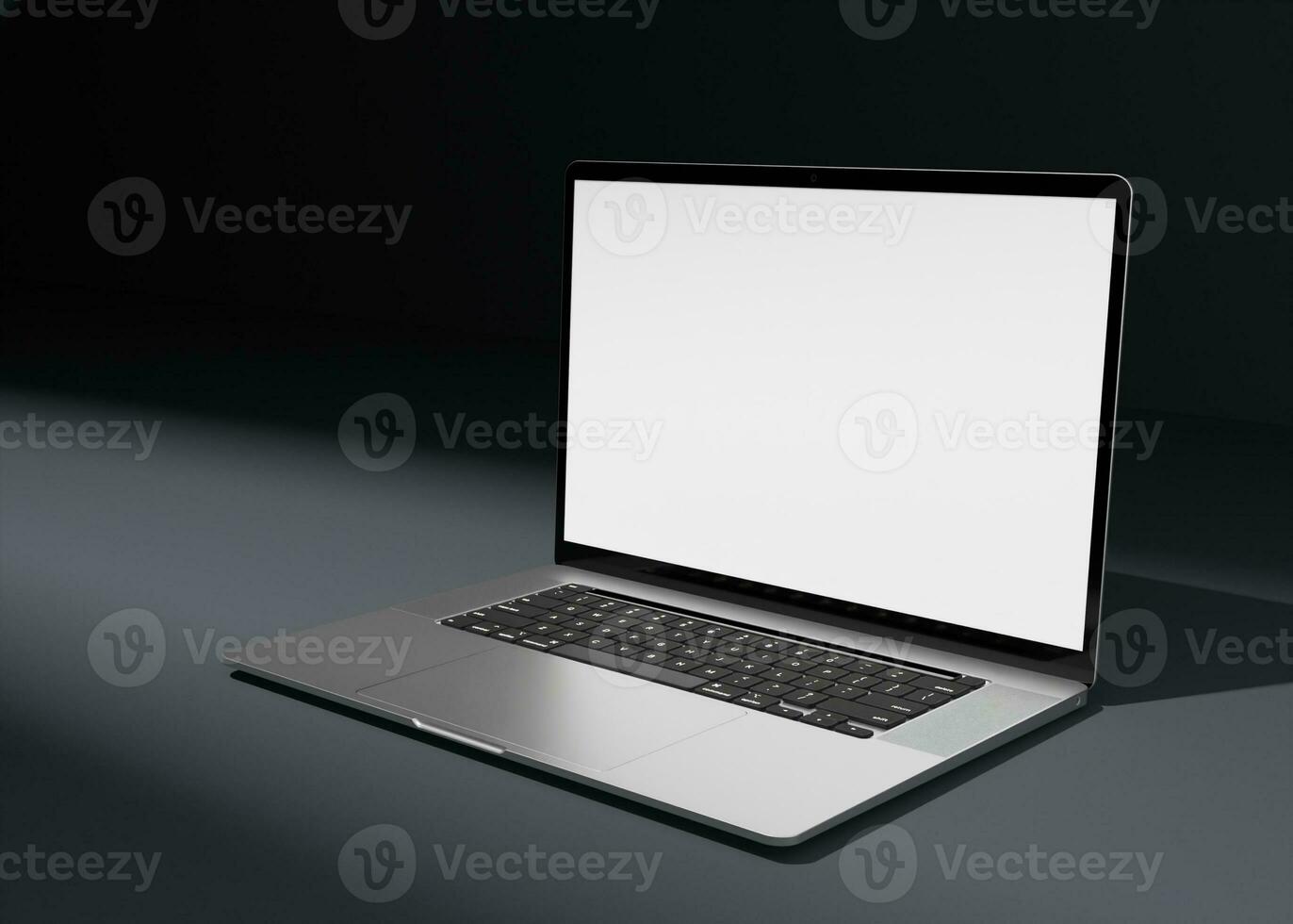 Responsive Laptop Screen for Web photo