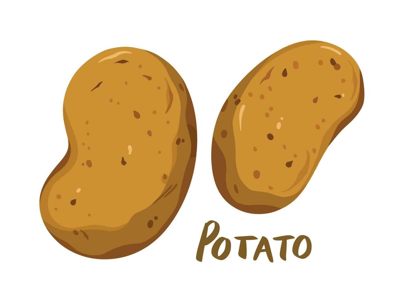 Two pieces of raw whole potato cooking ingredients food vector illustration isolated on landscape horizontal white background. Simple flat cartoon art styled vegetable drawing.