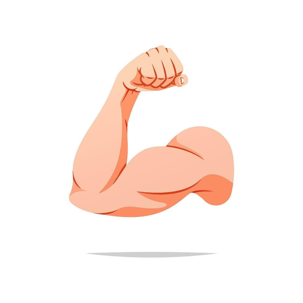 Muscle arms strong biceps vector isolated on white background.