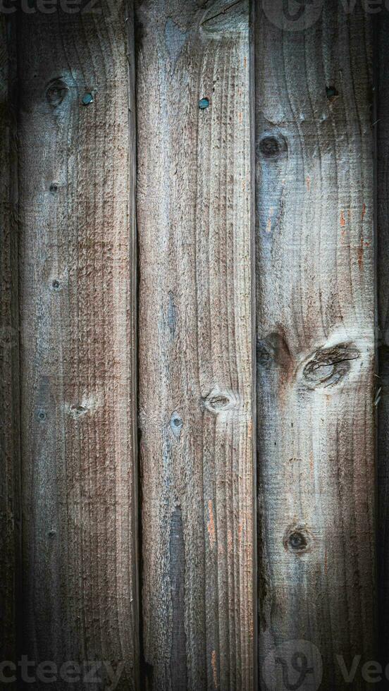 Natural Wood Grain Texture Background photo