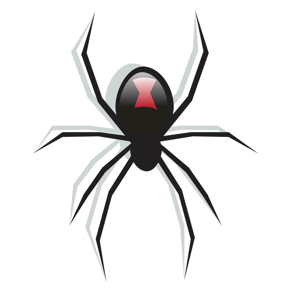 Black Spider Vector Illustration Image