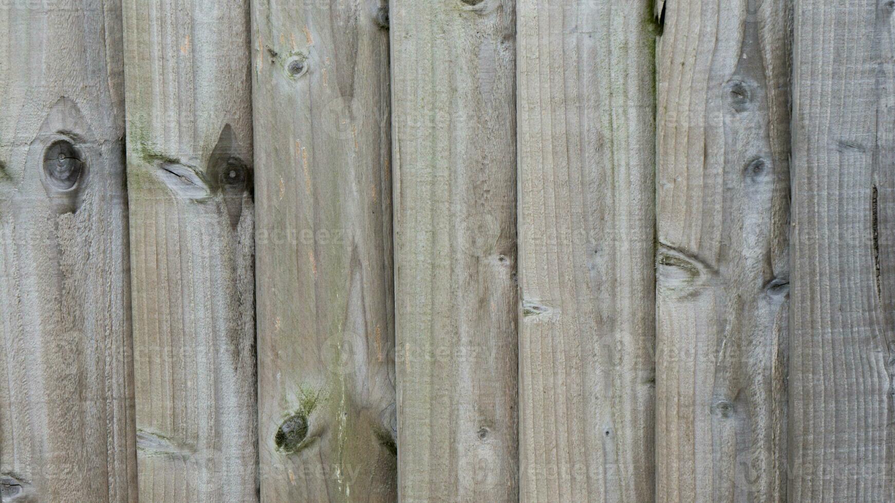 Natural Wood Grain Texture Background photo