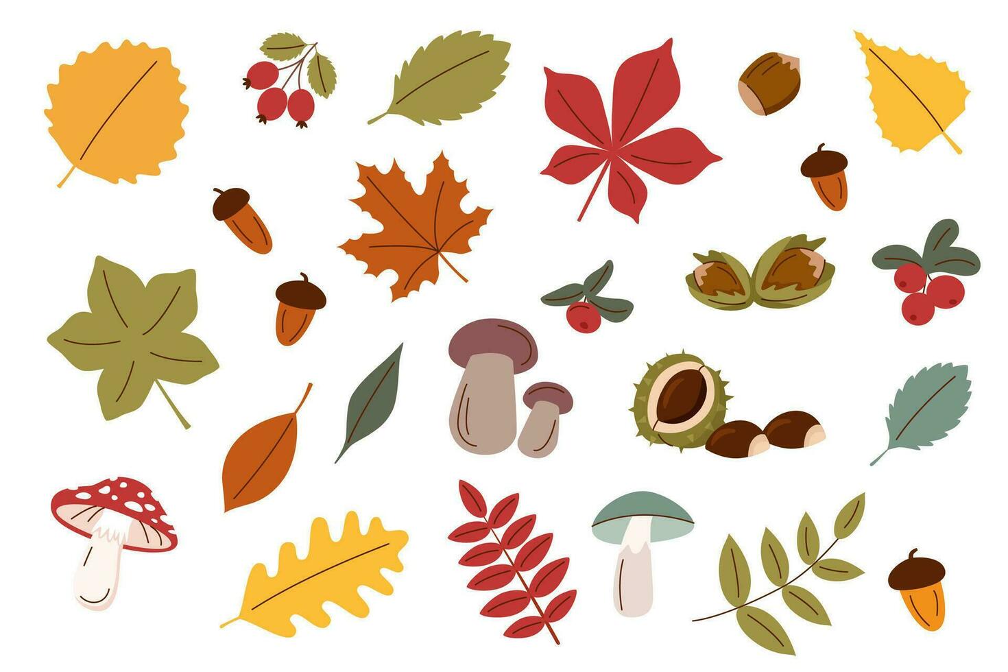 Set of autumn elements vector