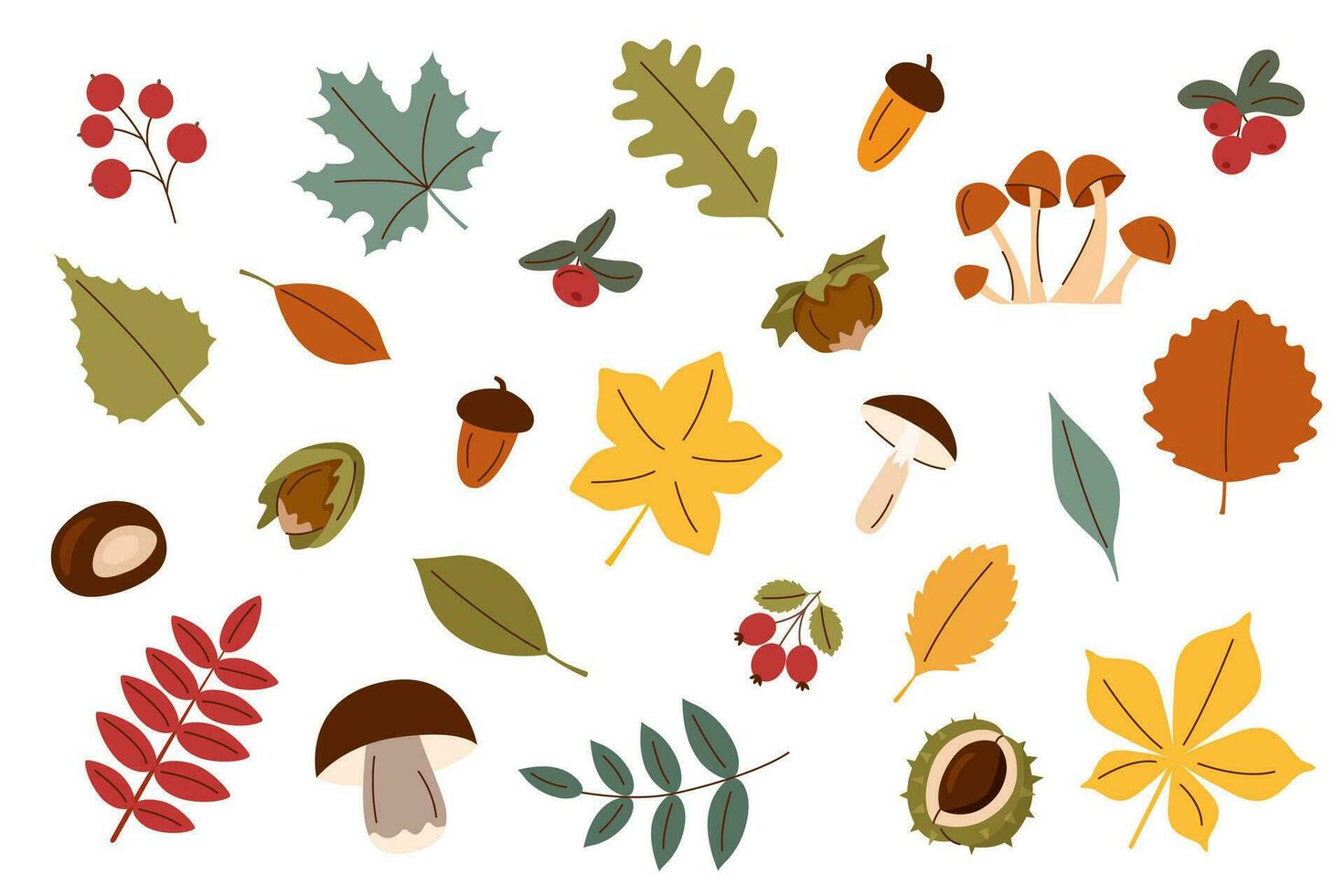 Autumn set of forest elements vector