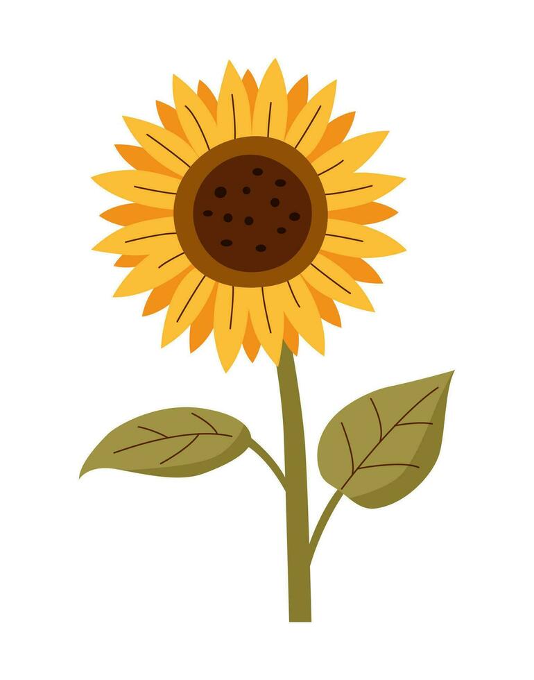 girasol en plano estilo en blanco vector