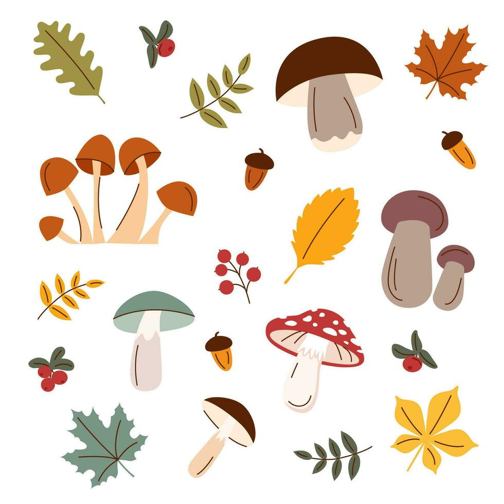 Set of mushrooms and leaves vector