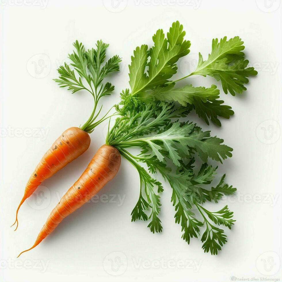 Fresh and healthy carrots with green leaves on a white background. The green leaves add a touch of freshness to these nutritious fruits. AI Generative photo