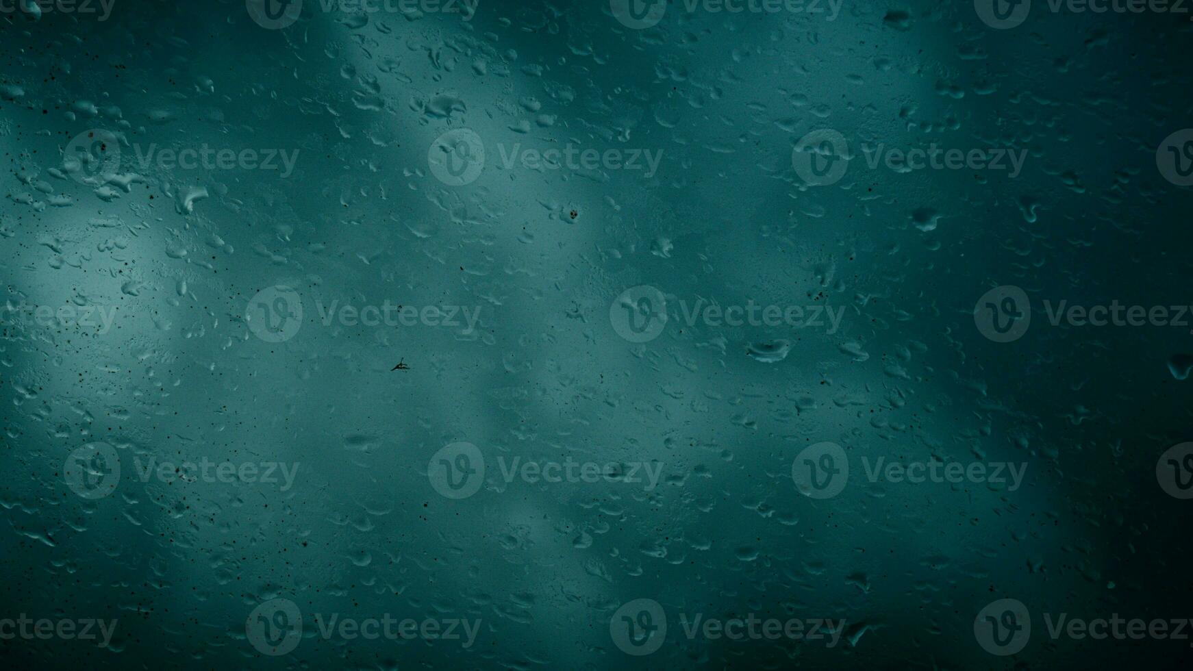 rain water drops on glass photo