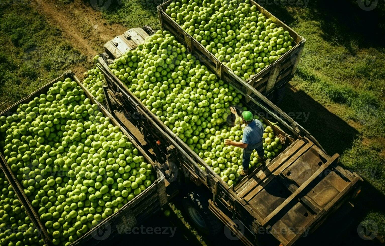 Apple harvesting, small loaders, forklift trucks, equipment loading a large truck, and wagon with large wooden crates full of green apples. a bird's-eye view. AI Generative photo