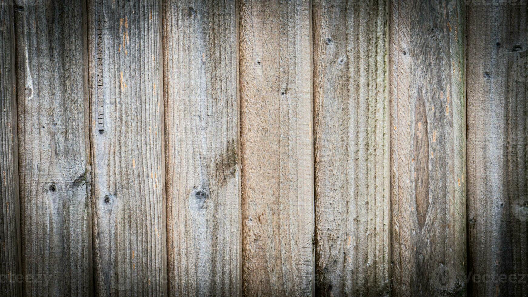 Natural Wood Grain Texture Background photo