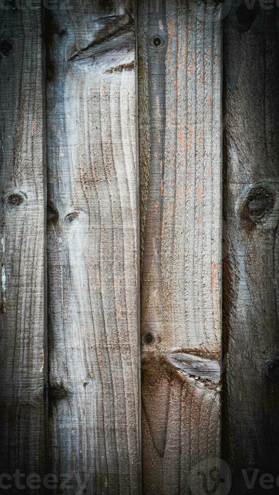 natural madera grano textura antecedentes foto