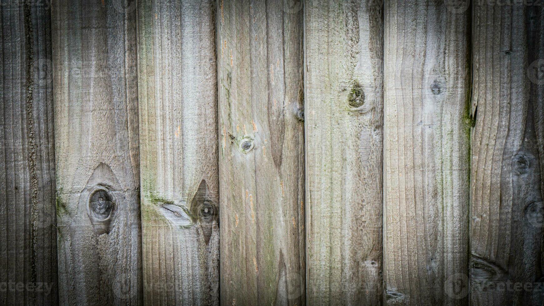 Natural Wood Grain Texture Background photo