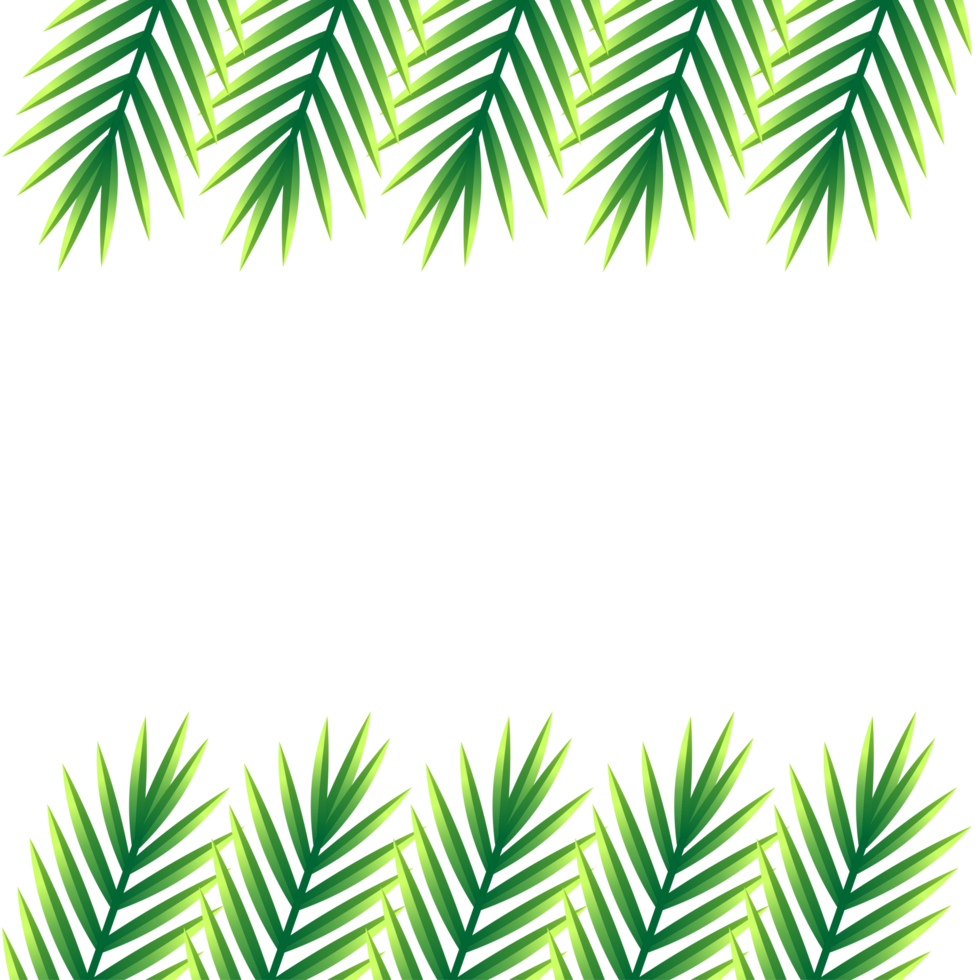 naturale telaio design con tropicale foglia tema png