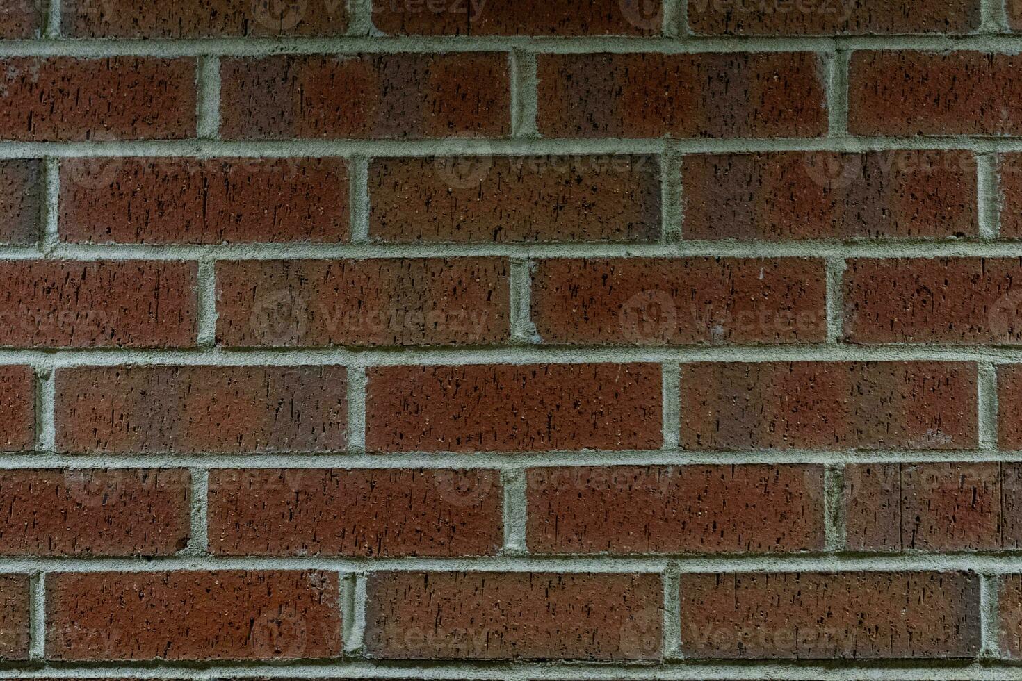 Texture background of bricks with lines photo