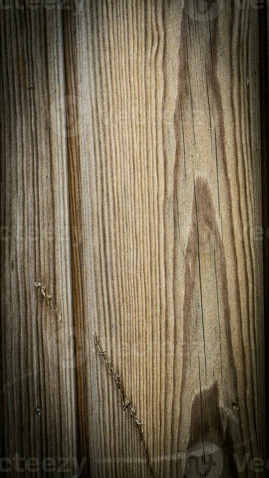 Natural Wood Grain Texture Background photo