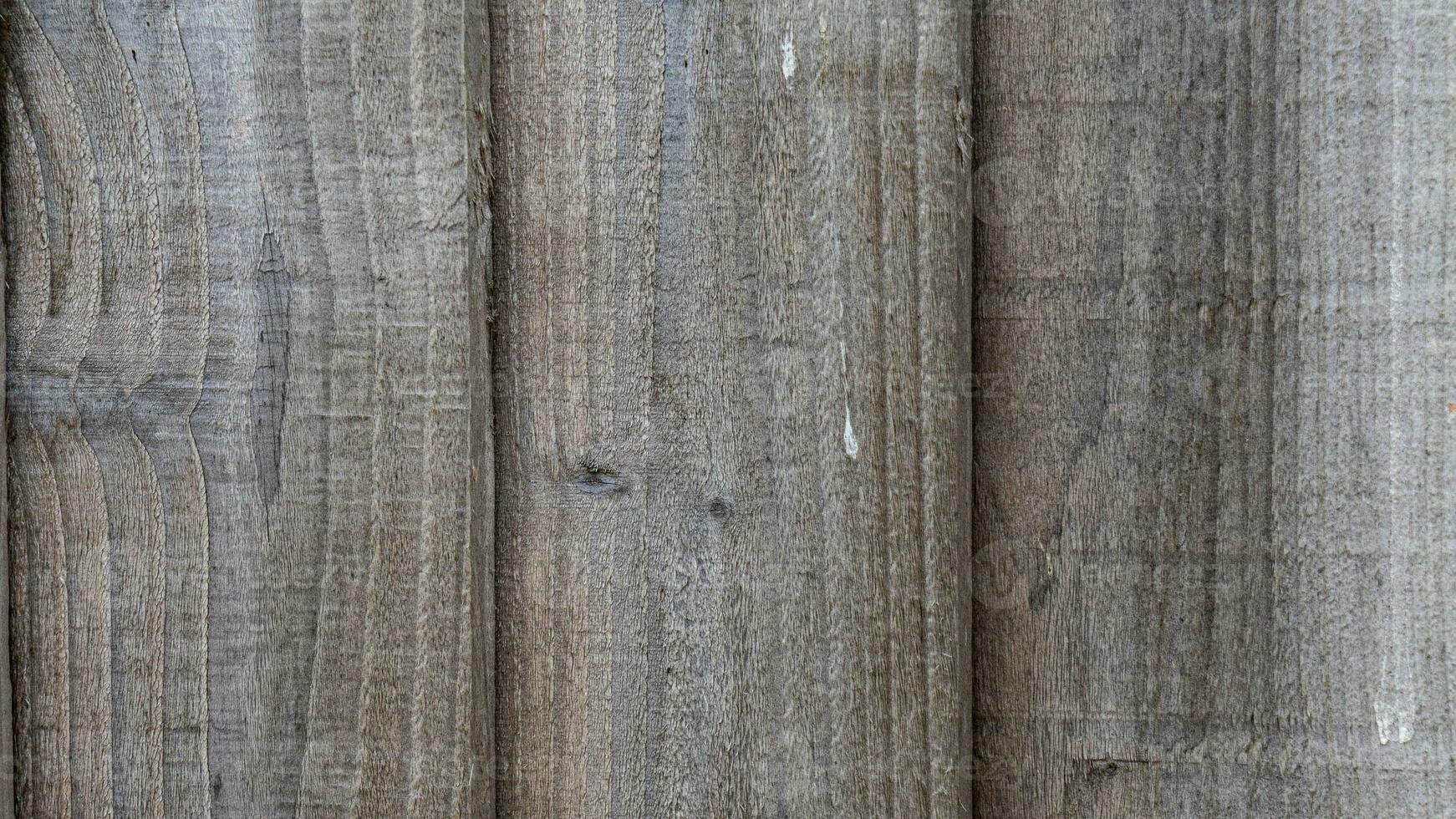 natural madera grano textura antecedentes foto