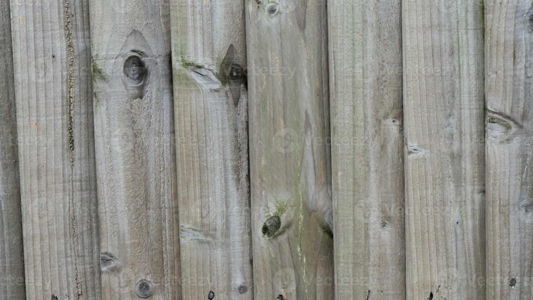 Natural Wood Grain Texture Background photo