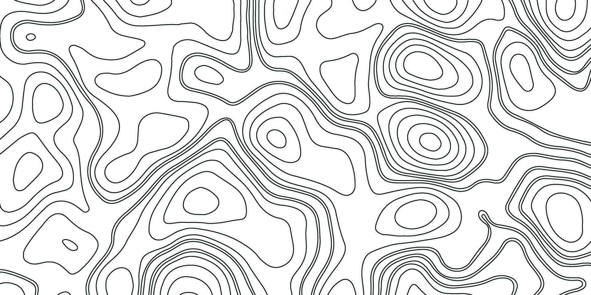 Topographic Map. Topographic Background. Topography Map Line. Black and White Pattern of Lines and Curves vector