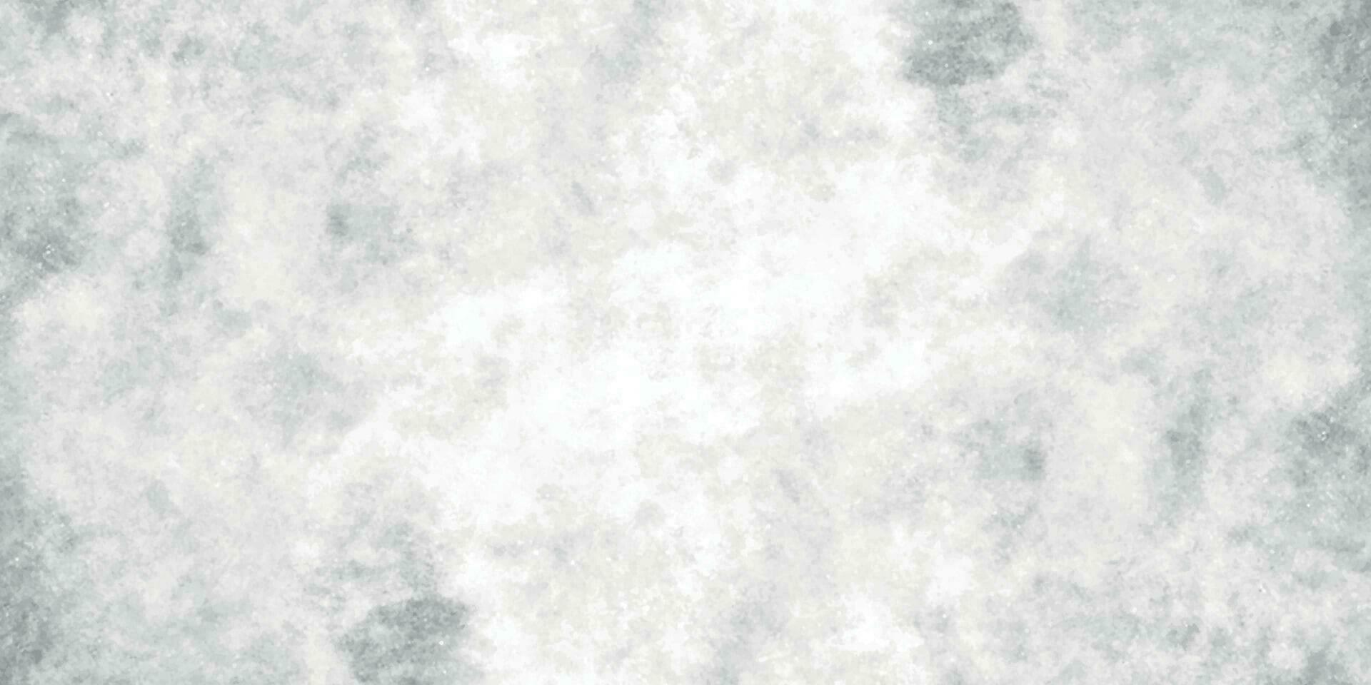 Watercolor Background. Monochrome White and Grey Watercolor Background. Gray Grunge texture. vector