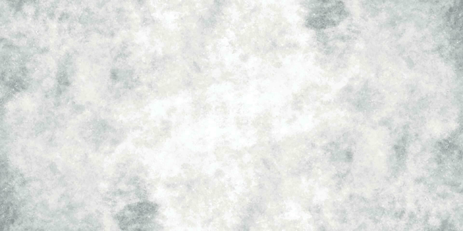 Watercolor Background. Monochrome White and Grey Watercolor Background. Gray Grunge texture. vector