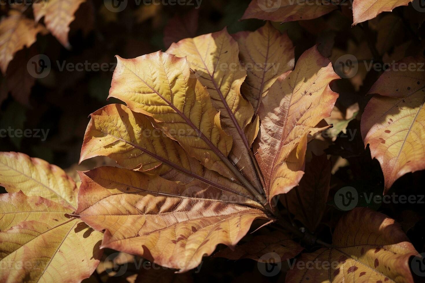Vibrant Autumn Leaves in October. AI Generated. photo