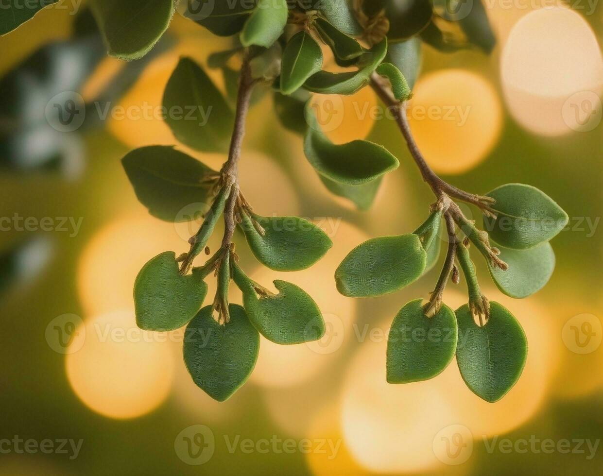 Magical Mistletoe Decorations for Holiday Romance. AI Generated. photo