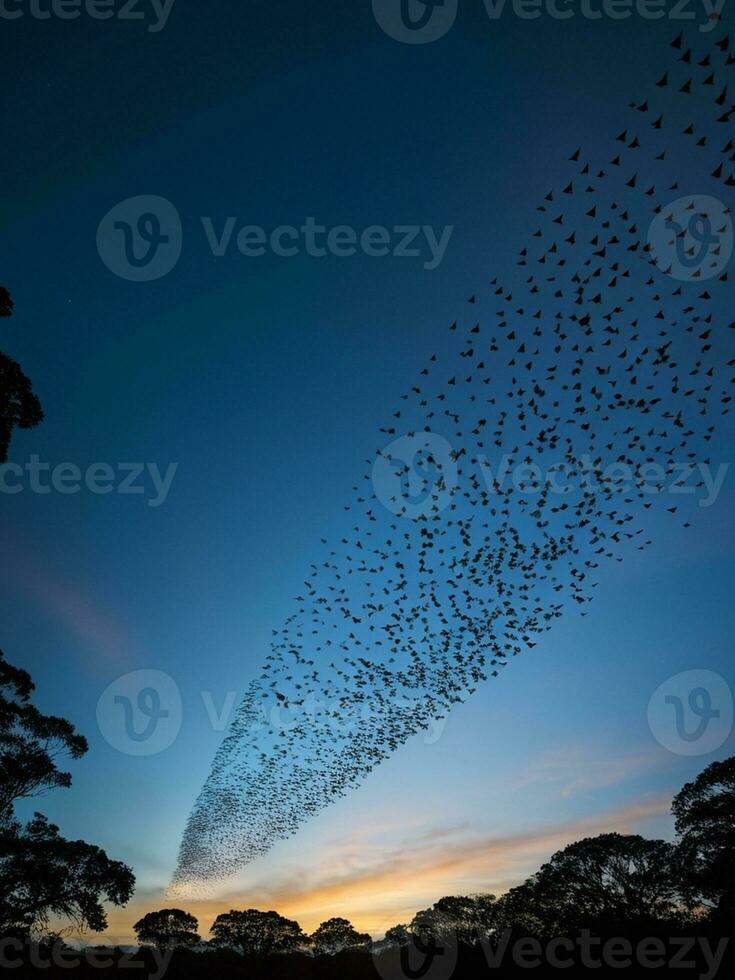 Wings of the Night A Captivating Bat Colony. AI Generated. photo