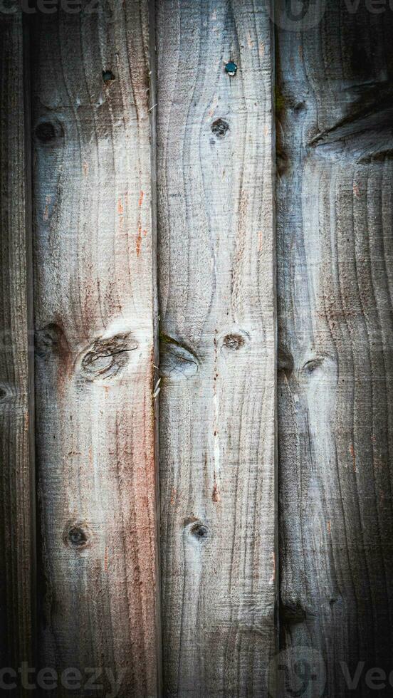 Natural Wood Grain Texture Background photo
