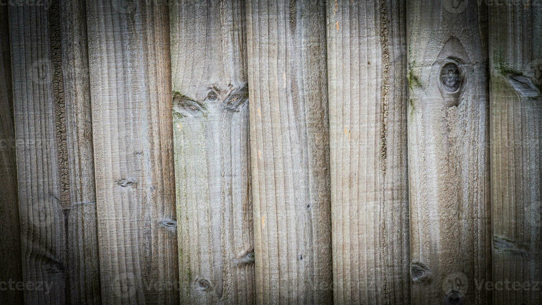 Natural Wood Grain Texture Background photo