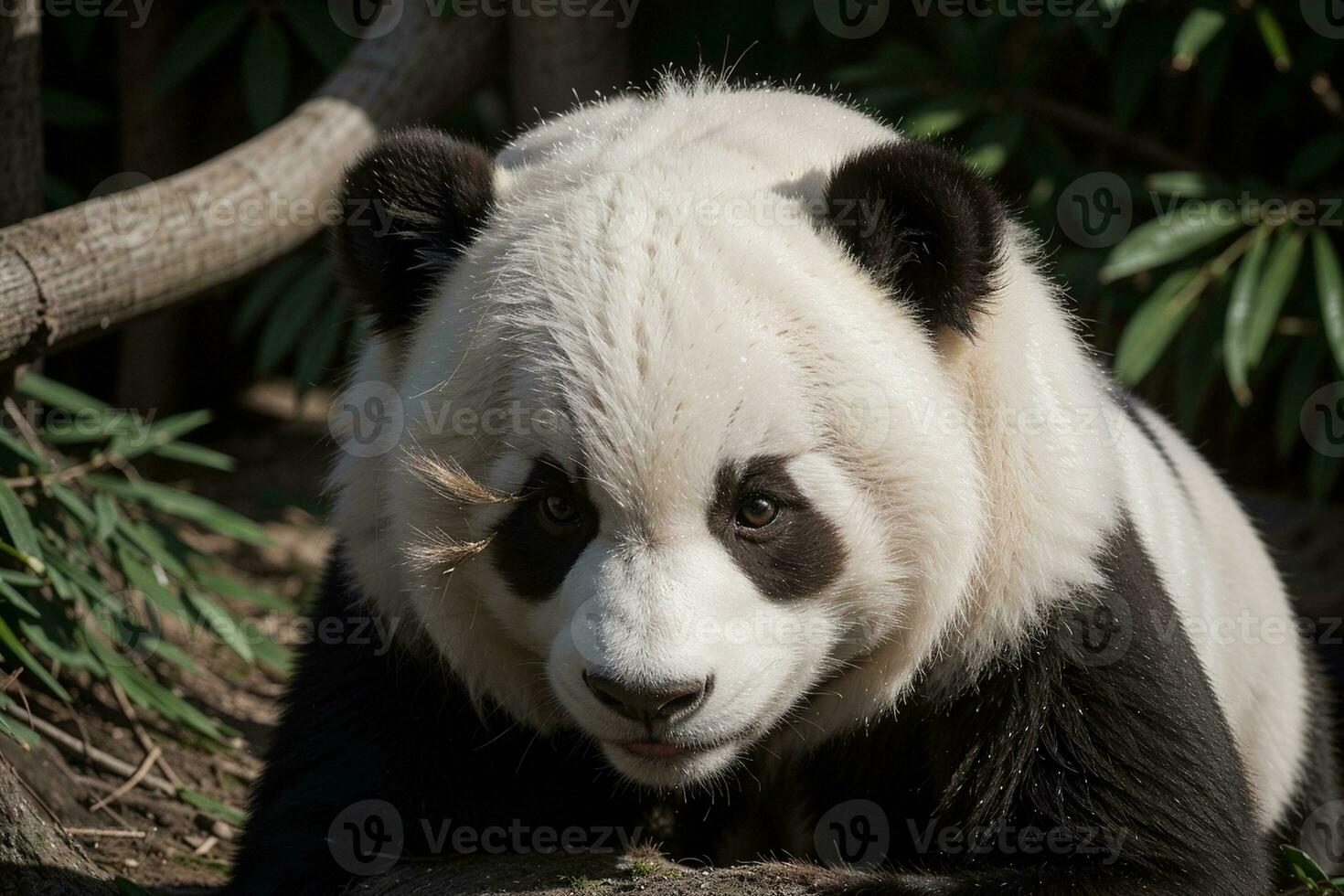 cautivador panda en sus distintivo atuendo. ai generado. foto