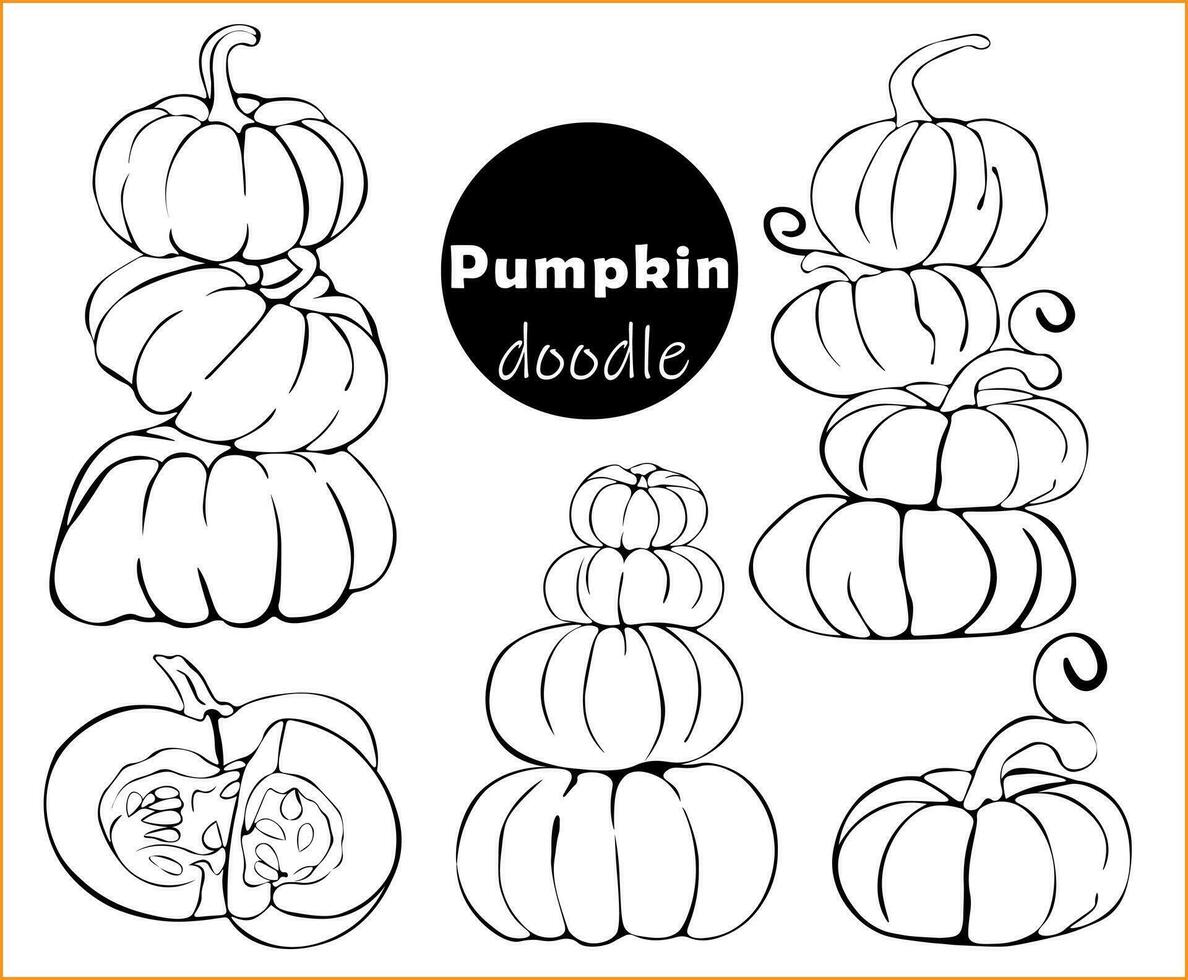 Set of ripe pumpkins stacked in sketch, doodle style. Collection of pumpkins  various shapes. Elements for autumn decoration, Halloween invitations, harvest. vector