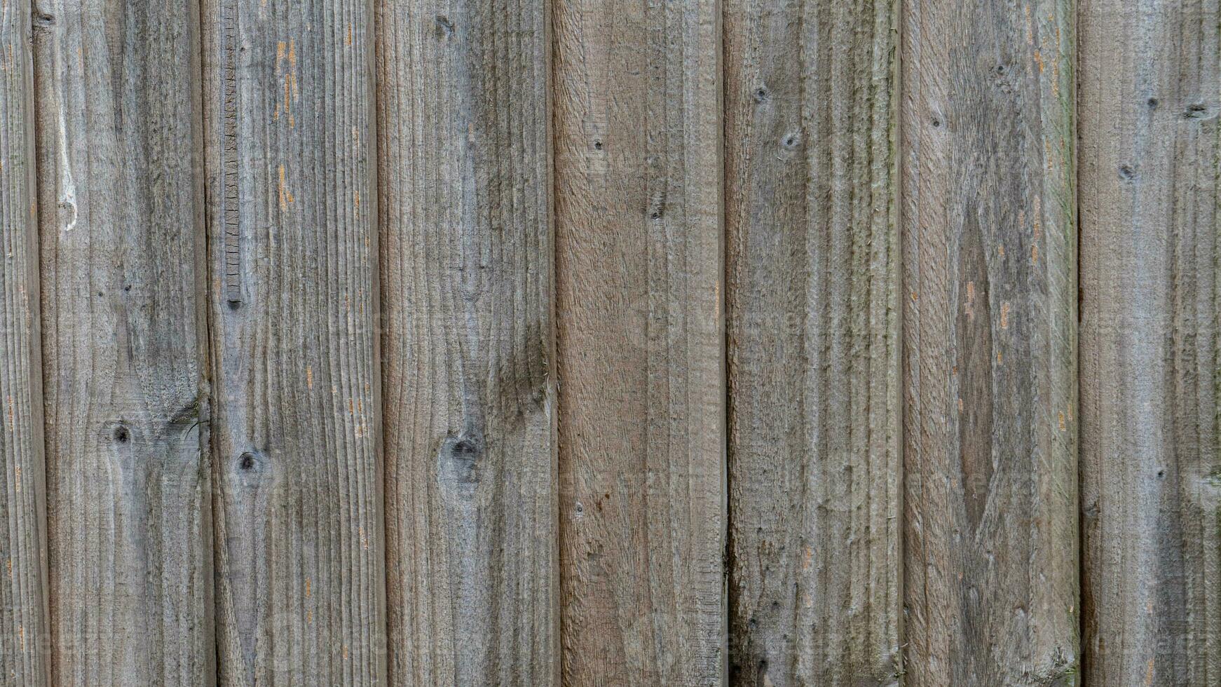 Natural Wood Grain Texture Background photo