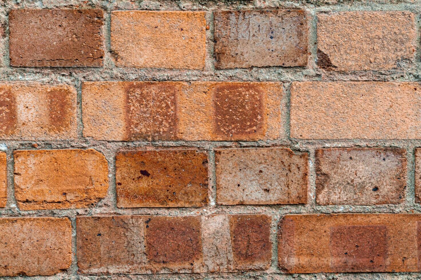 Texture background of bricks with lines photo