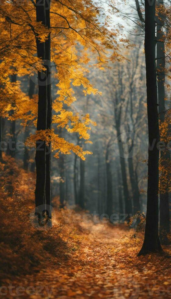 Autumn's Golden Canopy Vibrant Foliage in the Forest. Ai generated content photo