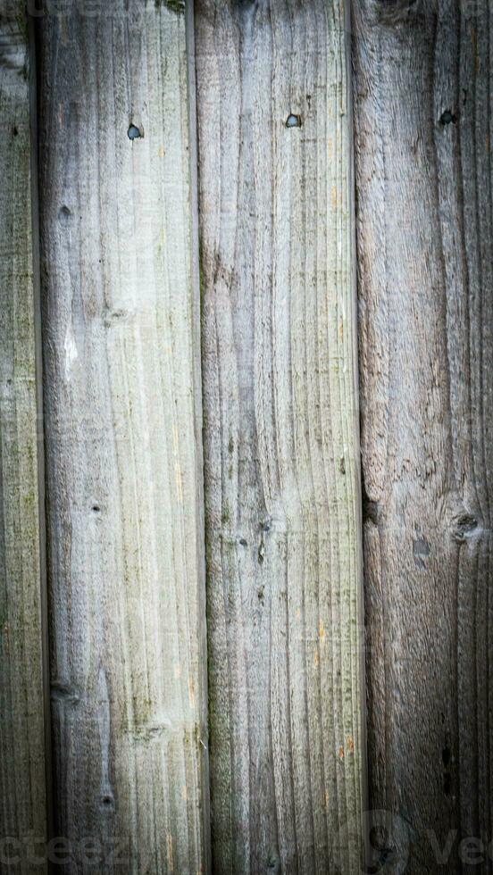 natural madera grano textura antecedentes foto