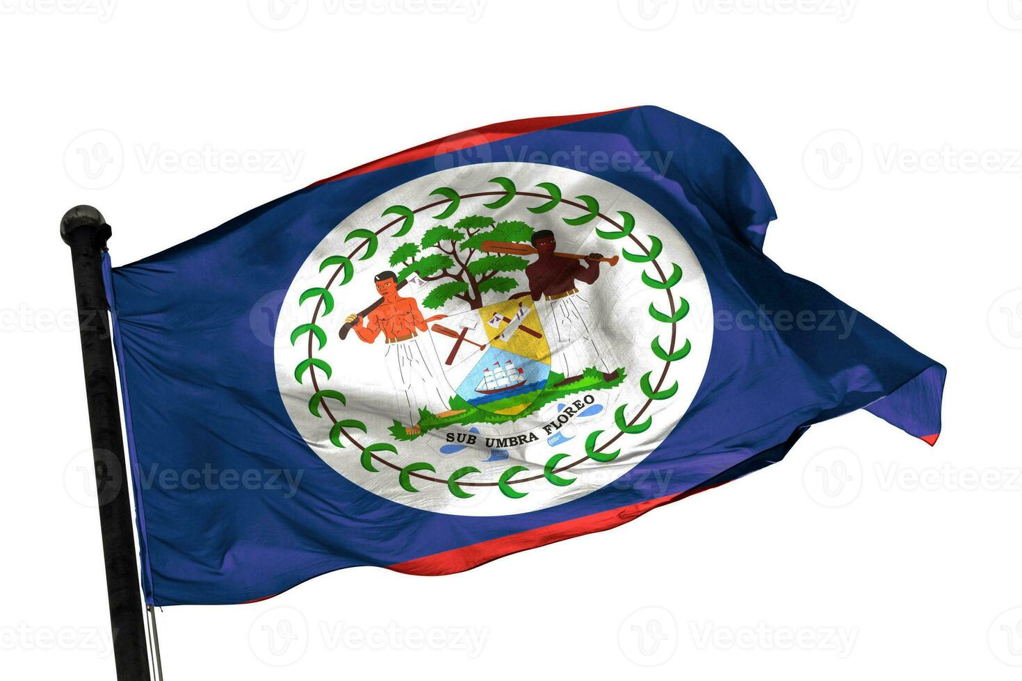 Belize flag on a white background. - image. photo