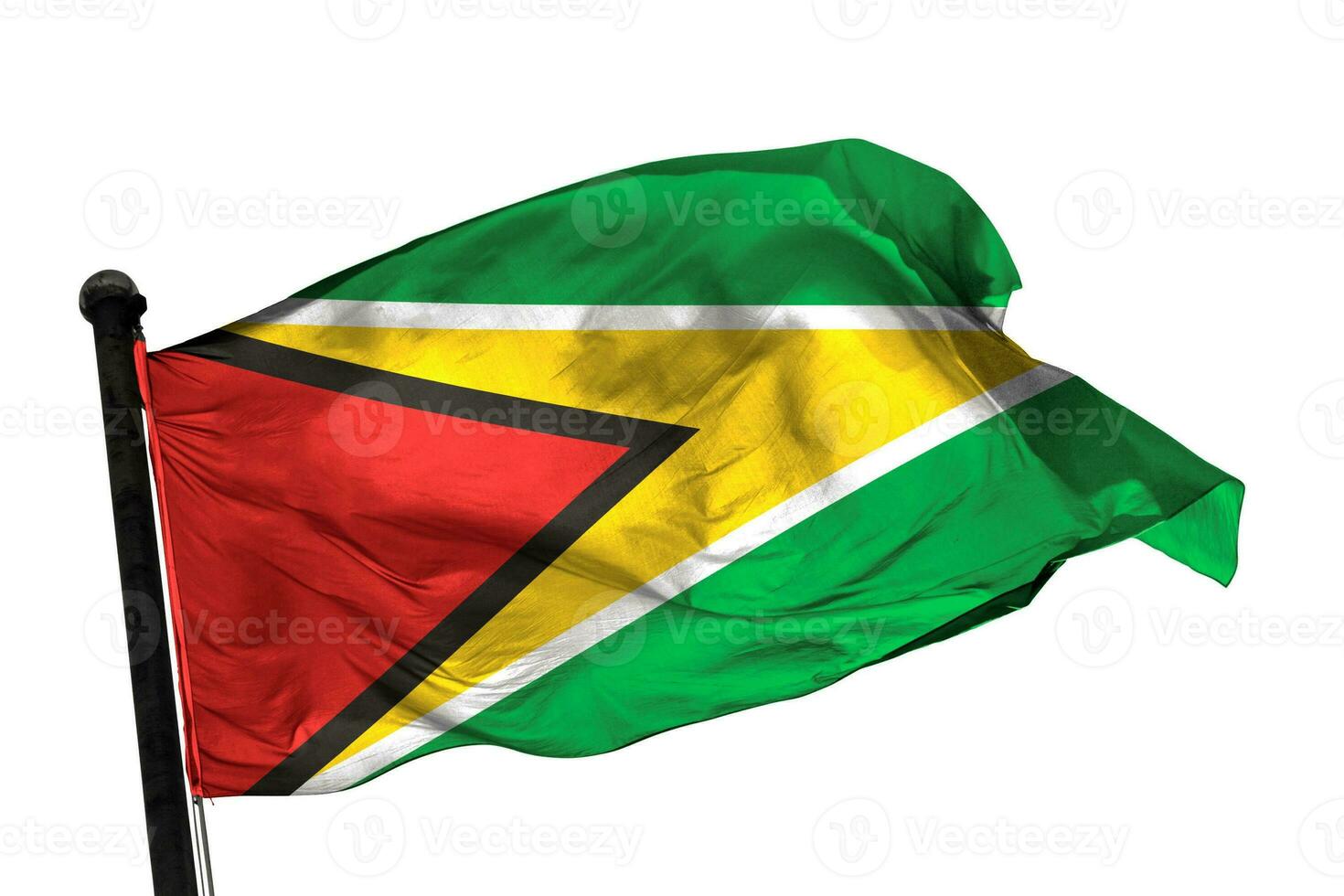 Guyana flag on a white background. - image. photo