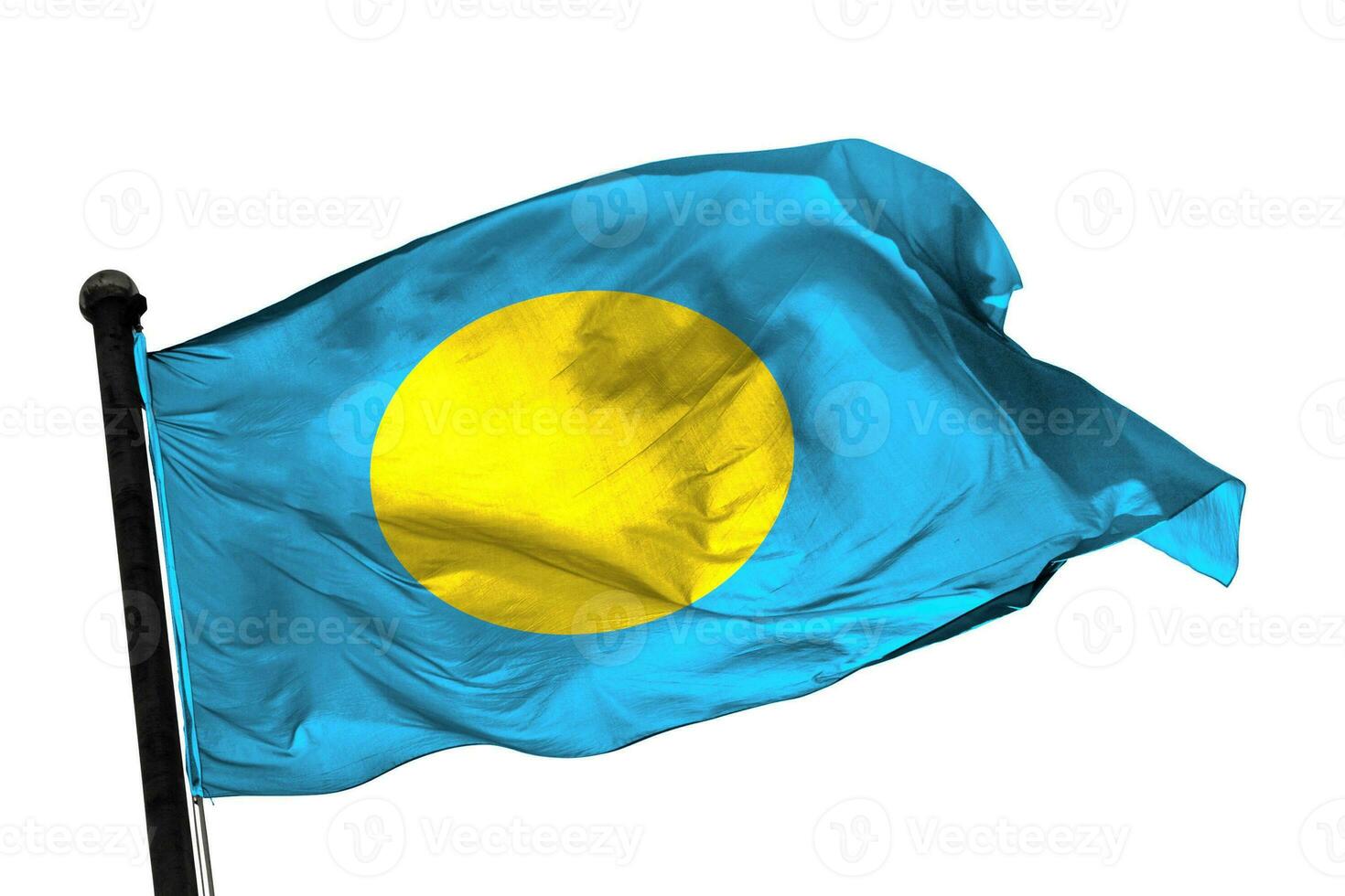 Palau flag on a white background. - image. photo