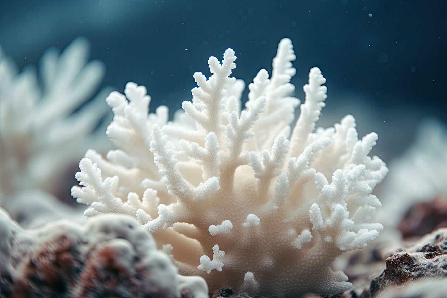 White coral on dark blue background. Underwater photo of sea life, Close up of a beautiful white coral in shallow depth of field, AI Generated