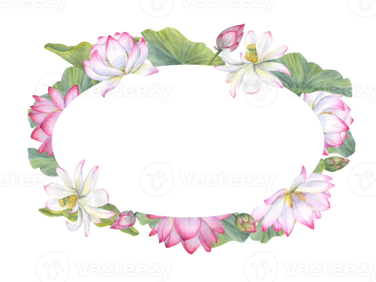 Frame of Indian sacred lotus flowers with leaves. Water lily, Indian lotus, green leaf, bud. Space for text. Watercolor illustration for greetings, package, label, invitation, cosmetics. png